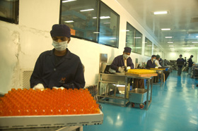 Manufacturer of PET Bottles|Containers, Customise Plastic Bottles|Containers|Jar, Manufacturer of PP Bottles|Containers|Jars, Manufacturer of PC Bottles|Containers|Jars, Manufacturer of HDPE Bottles|Containers|Jars, Manufacturer of LDPE Bottles|Containers|Jars - Himalayan Group