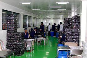 Manufacturer of PET Bottles|Containers, Customise Plastic Bottles|Containers|Jar, Manufacturer of PP Bottles|Containers|Jars, Manufacturer of PC Bottles|Containers|Jars, Manufacturer of HDPE Bottles|Containers|Jars, Manufacturer of LDPE Bottles|Containers|Jars - Himalayan Group